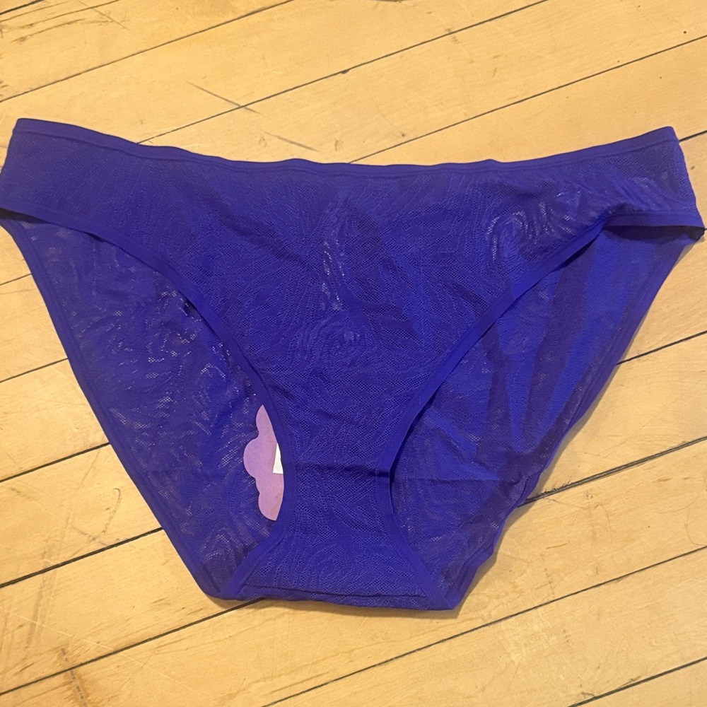 Sheer Bikini Briefs in blue, black and beige